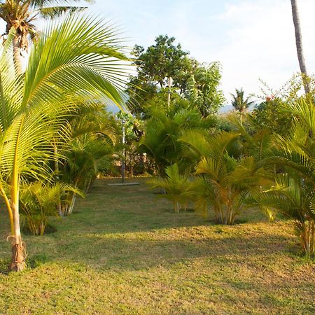 Bali Oase Resort Pemuteran Eksteriør billede