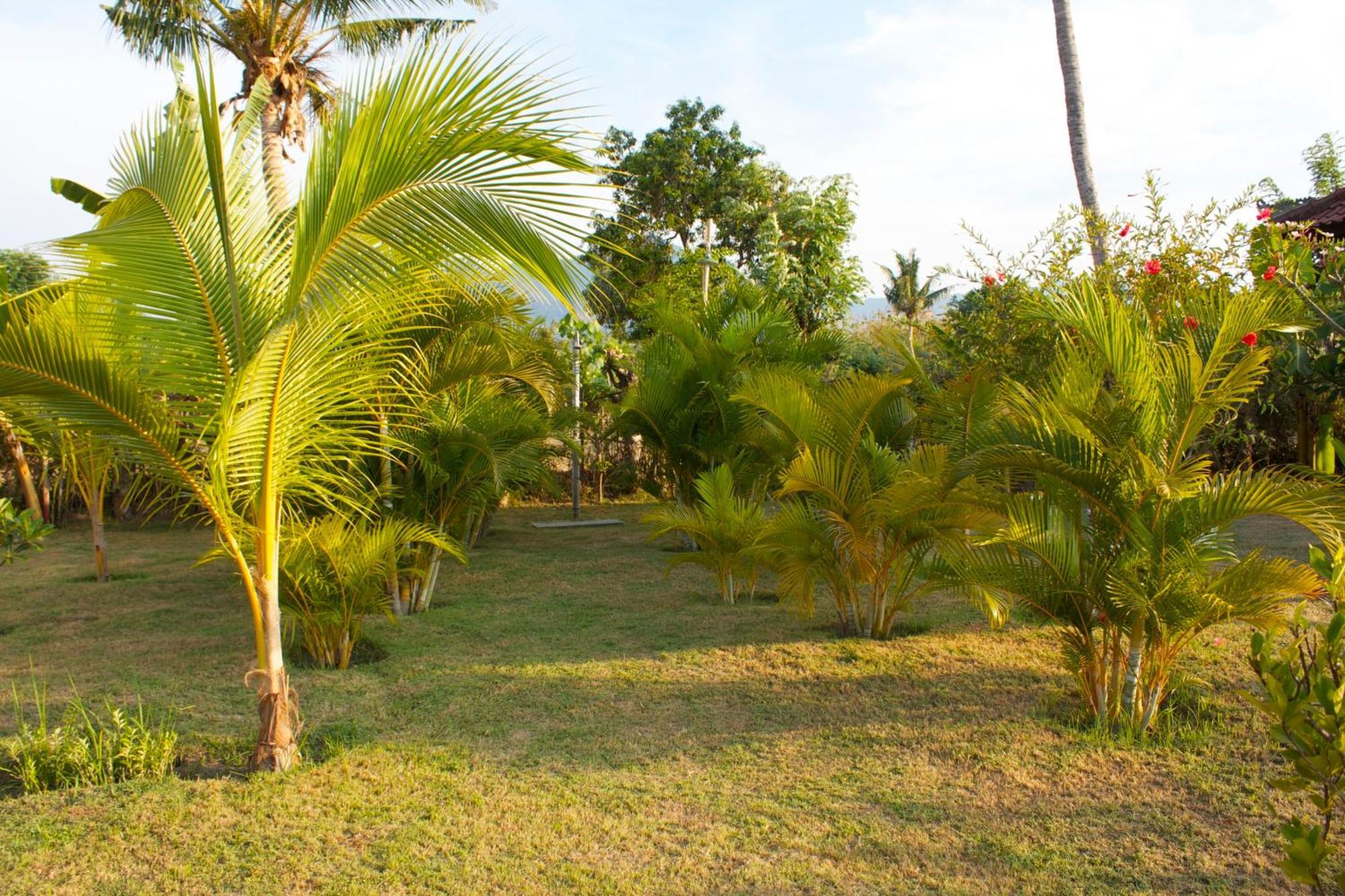 Bali Oase Resort Pemuteran Eksteriør billede