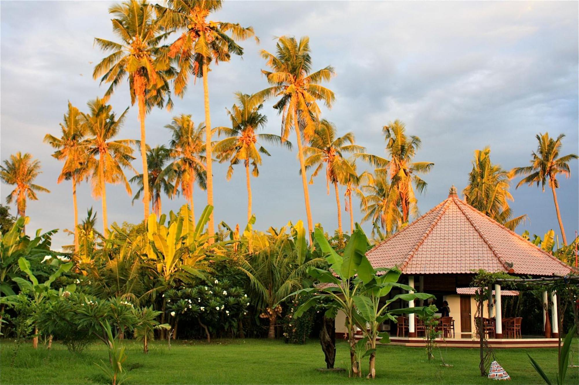 Bali Oase Resort Pemuteran Eksteriør billede